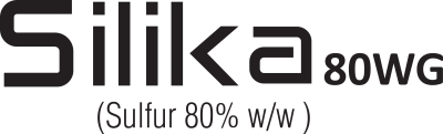 Silika 80WG 