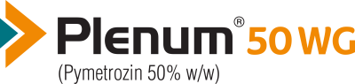 Plenum 50WG