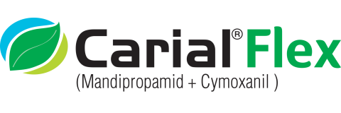 Carial Flex 43WG