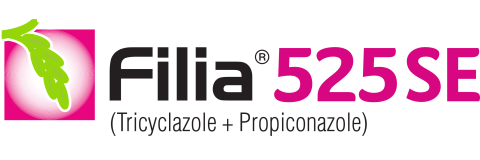 Filia 525 SE