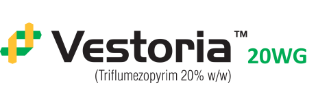 Vestoria 20WG
