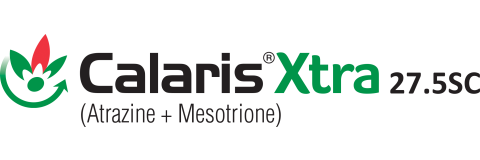 CALARIS XTRA 27.5 SC