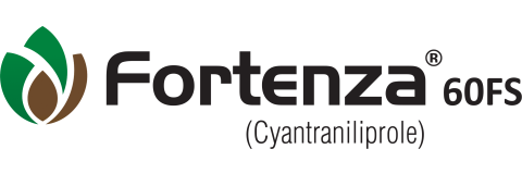Fortenza 60FS
