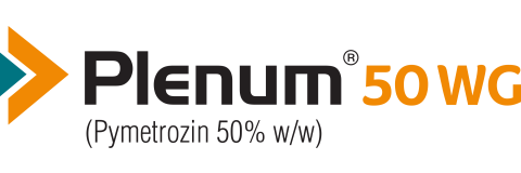 Plenum 50WG