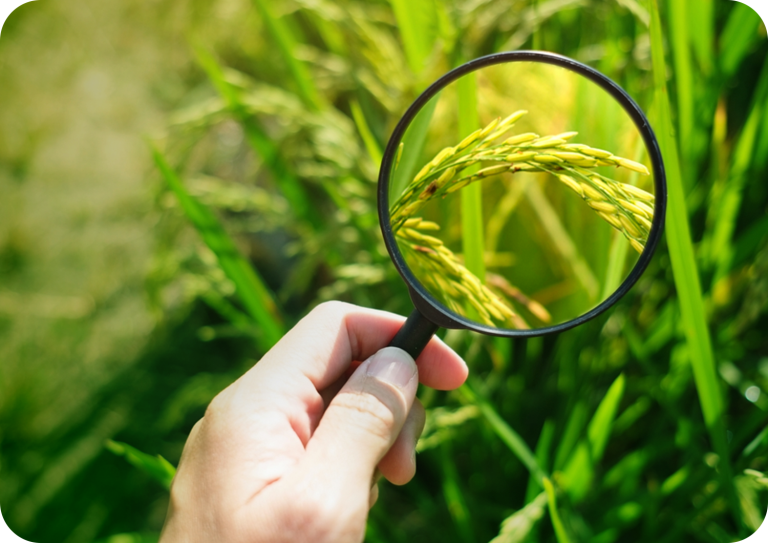 Crop Protection