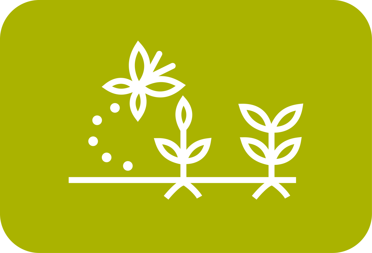 Regenerate Soil And Nature