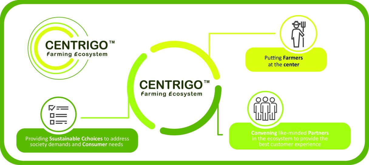 Centrigo Infographics