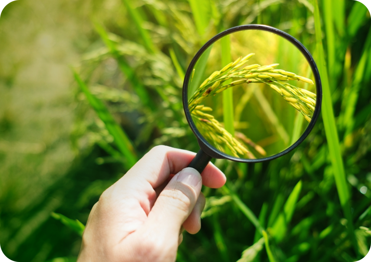 Crop Protection