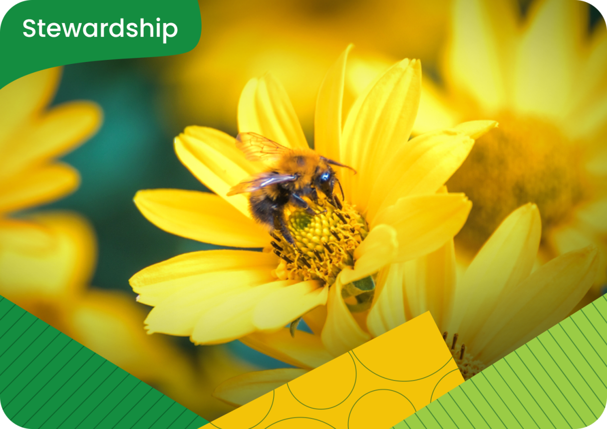 Stewardship
