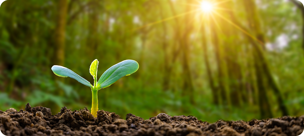 Sustainable Operations
