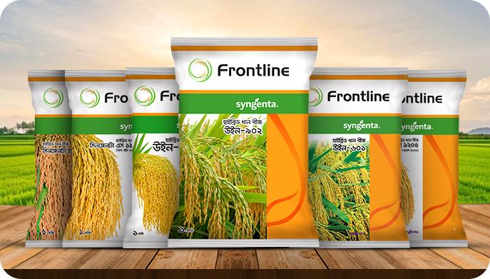 Hybrid Rice