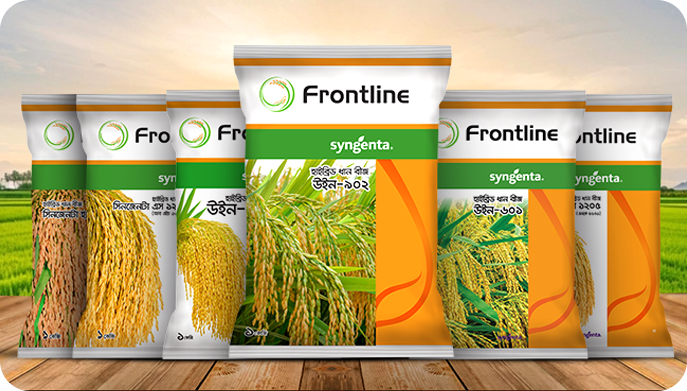 Hybrid Rice