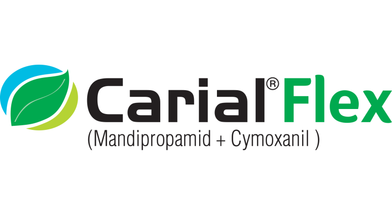 Carial Flex 43WG