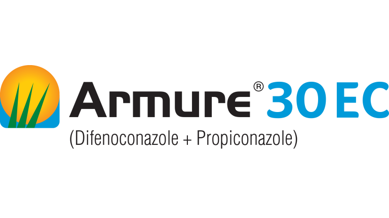 Armure 30 EC