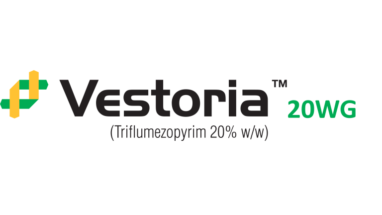 Vestoria 20WG