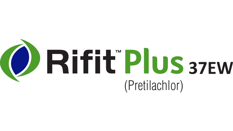 RIFIT PLUS 3 EW
