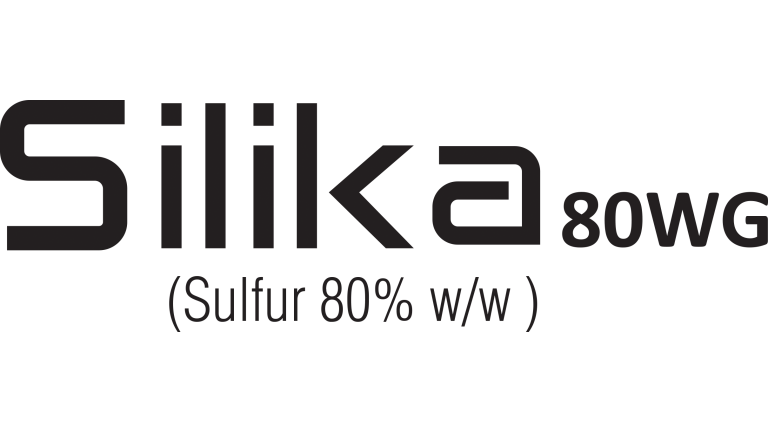 Silika 80WG 