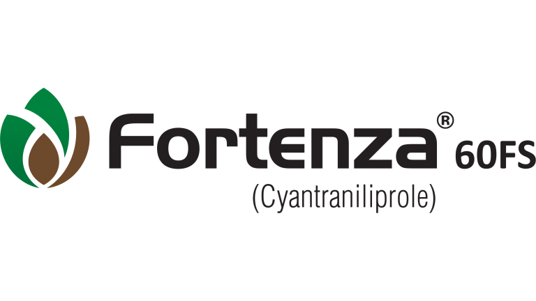 Fortenza 60FS