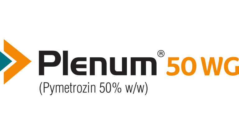 Plenum 50WG